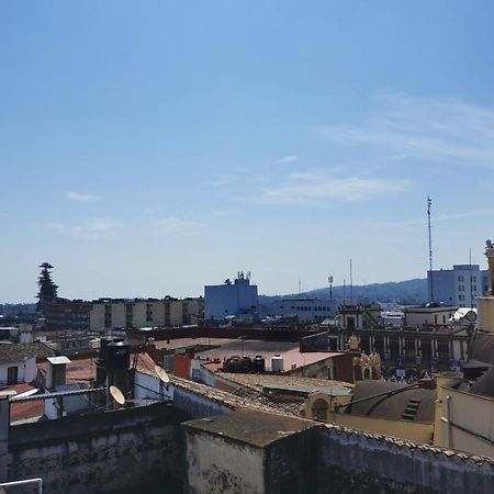 Hotel Limon ハラパ エクステリア 写真