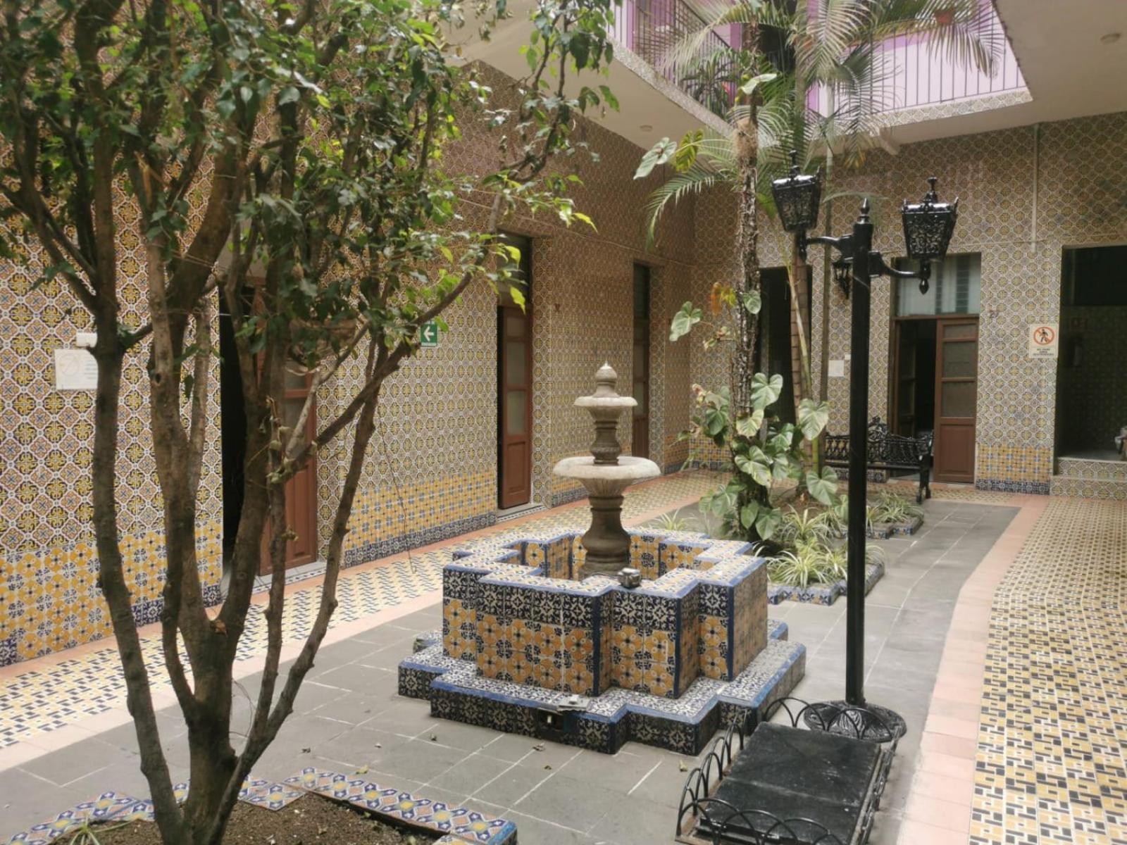 Hotel Limon ハラパ エクステリア 写真